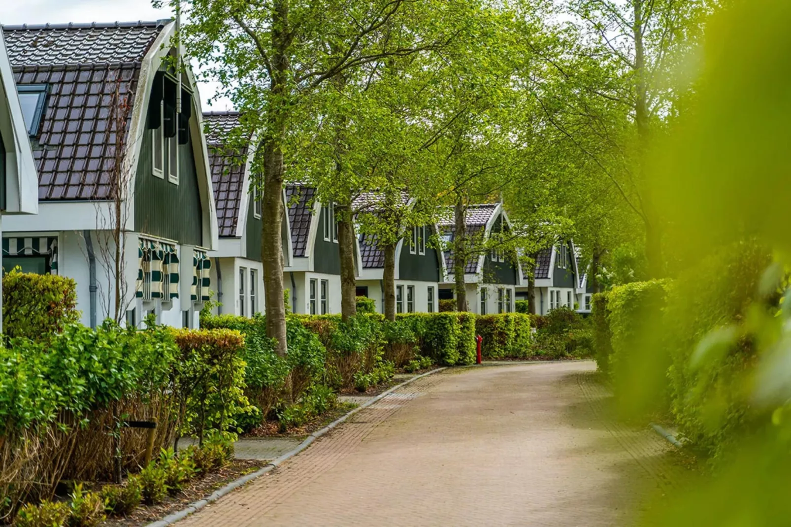 Resort Koningshof 2-Park facilities