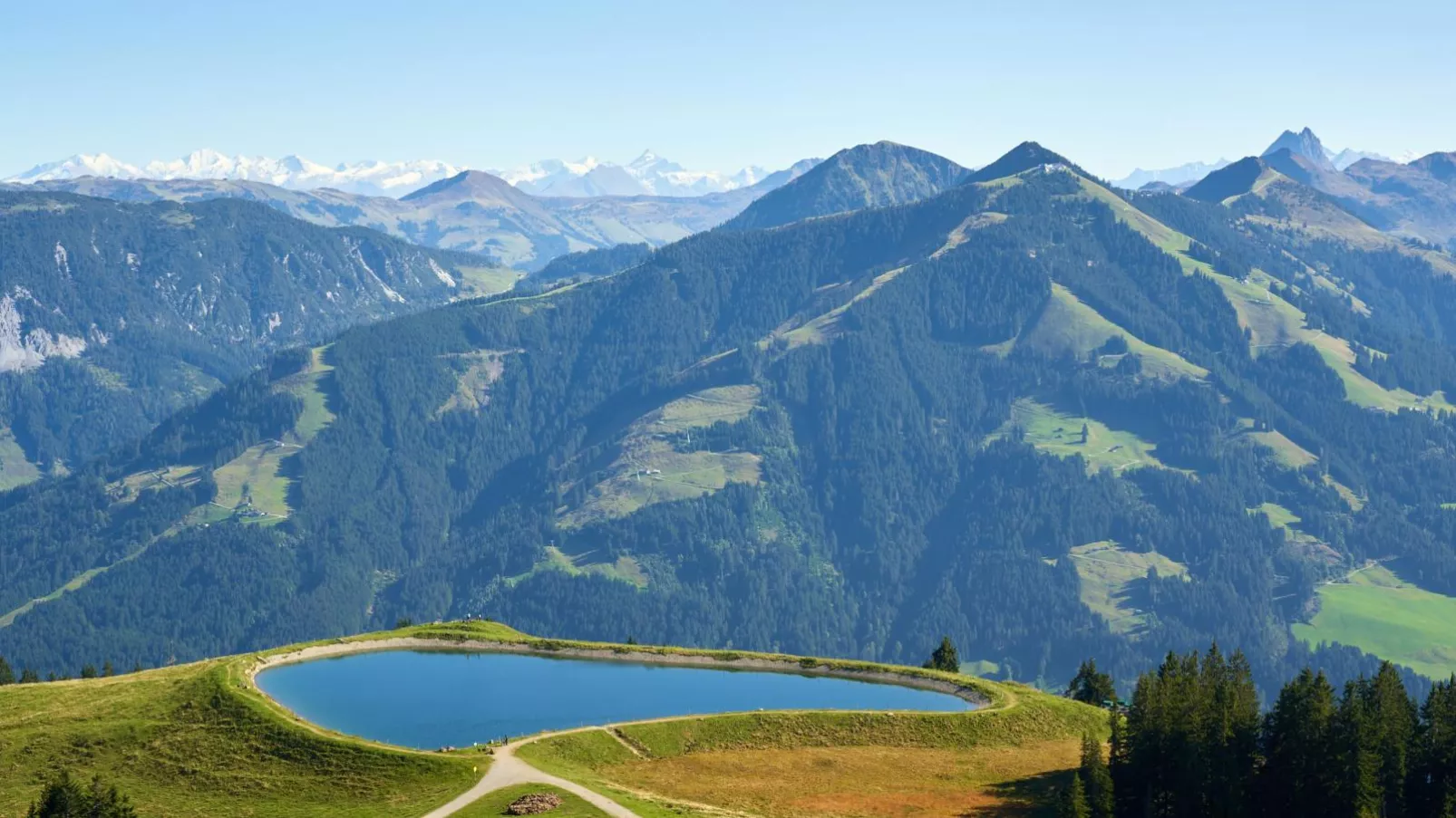 Marktblick-Areas summer 5km