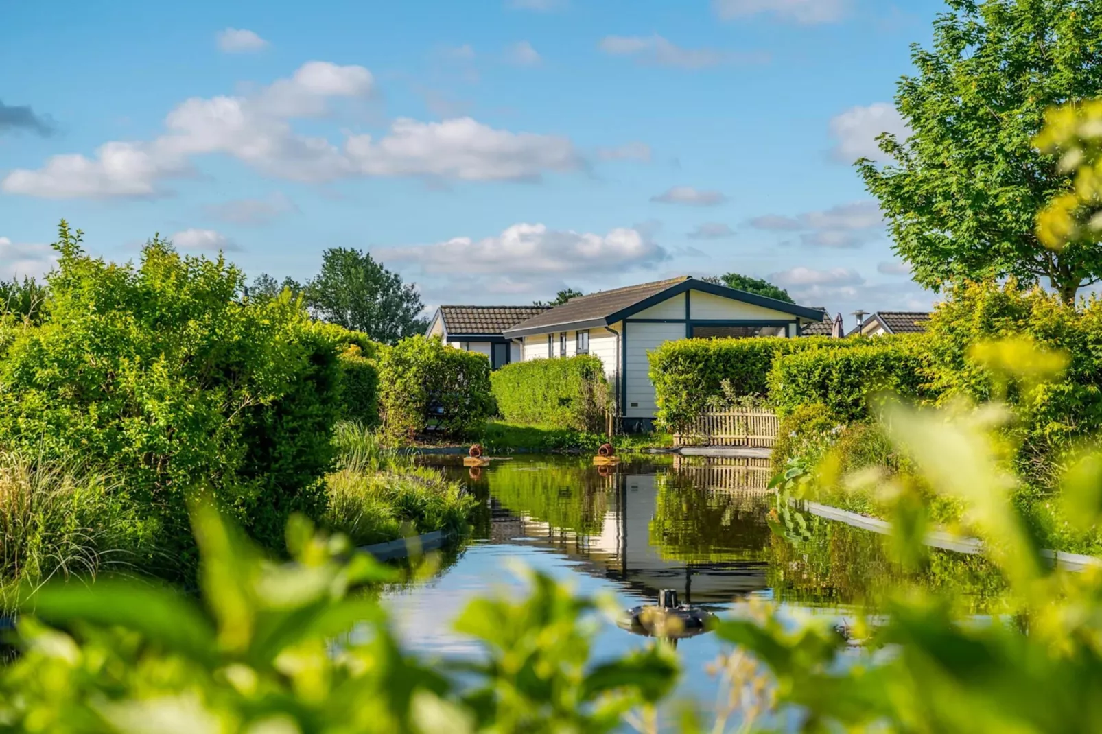 Resort De Woudhoeve 8-Park facilities