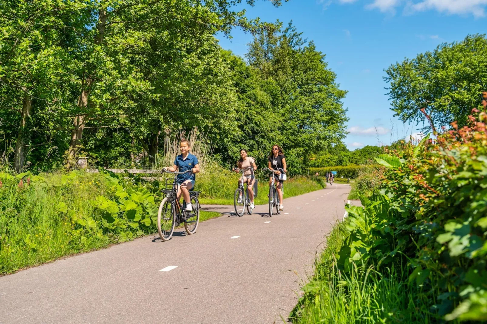 Resort De Woudhoeve 8-Park facilities