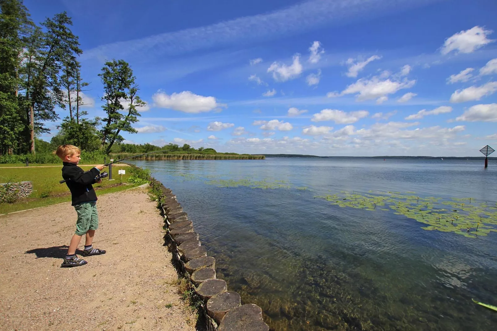 Kiebitz neu 100 qm-Areas summer 5km