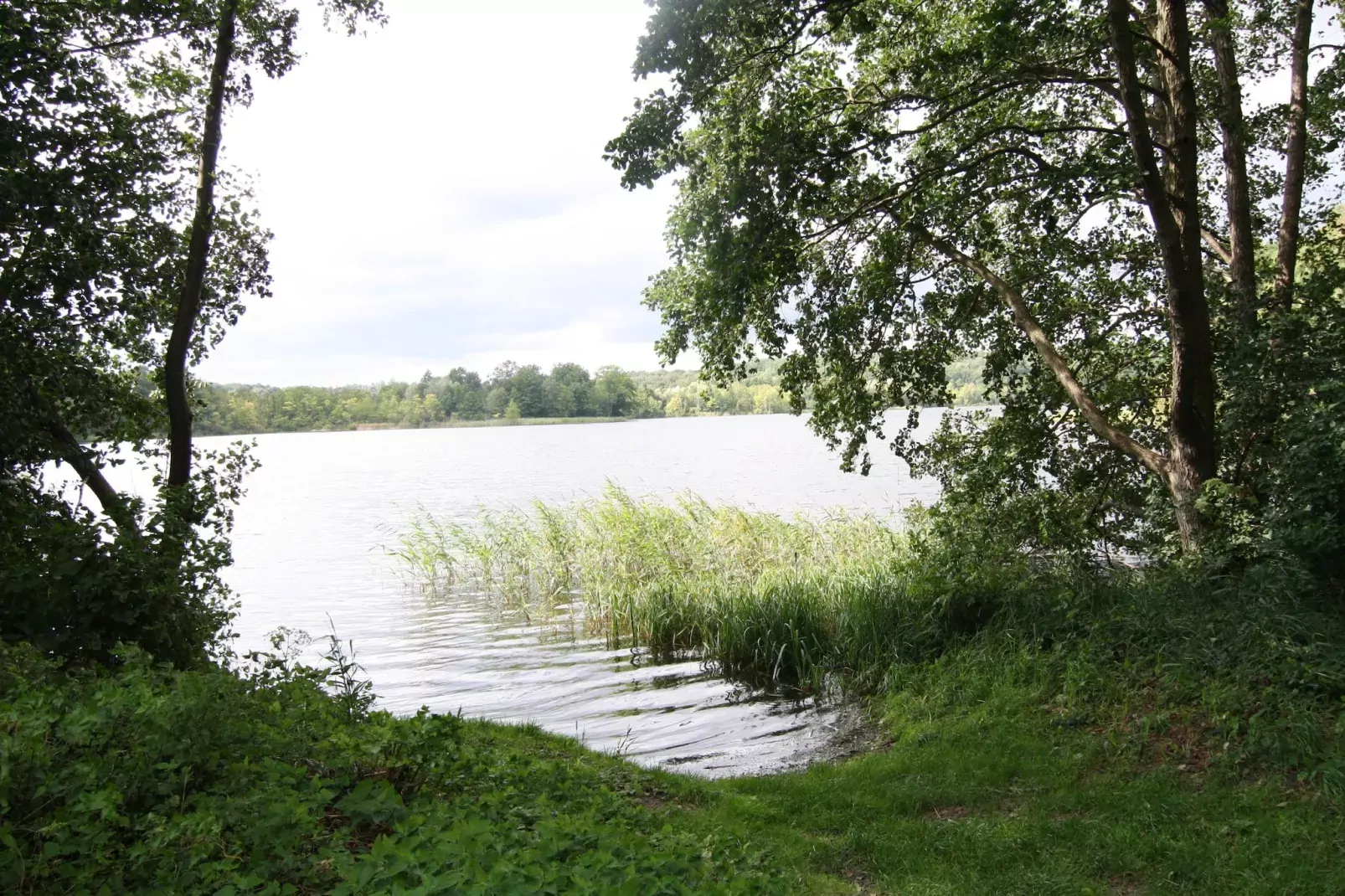 Ferienhaus 60 qm rollstuhlgerecht-Zones d'été à 5 km