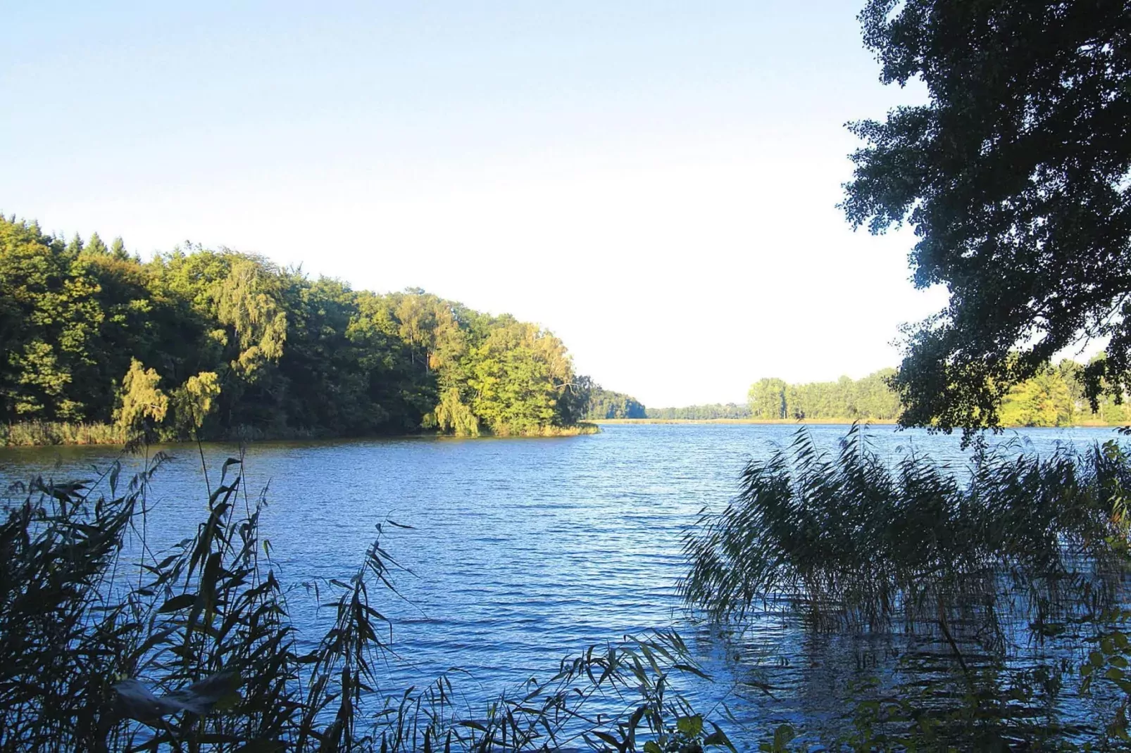 Ferienwohnung 130 qm-Gebiete Sommer 1 km