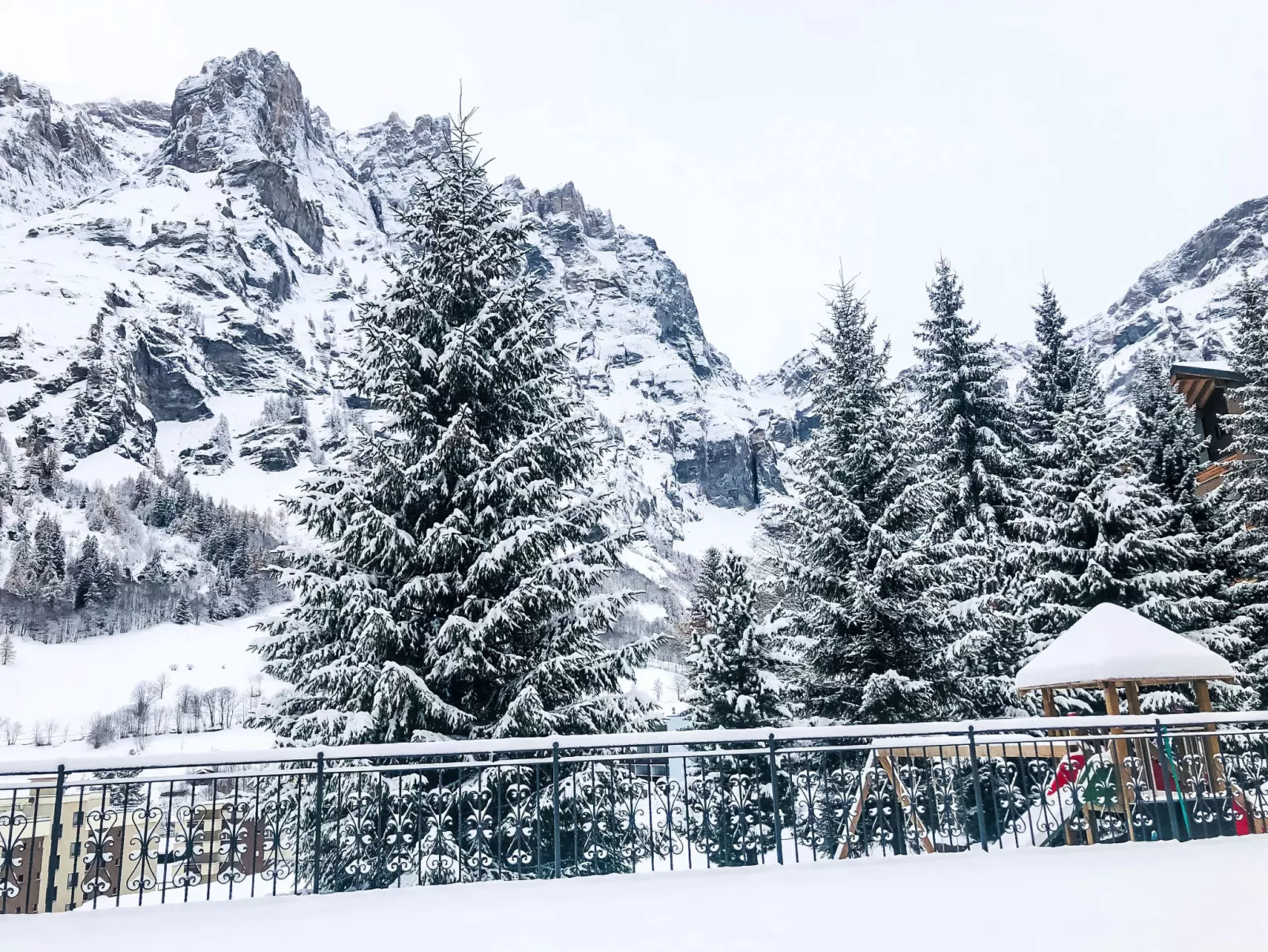 Edelweiss B-Outside