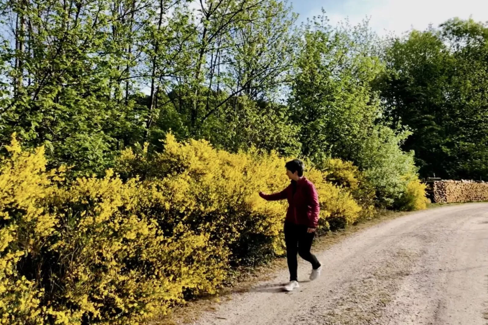 301127-Areas summer 5km