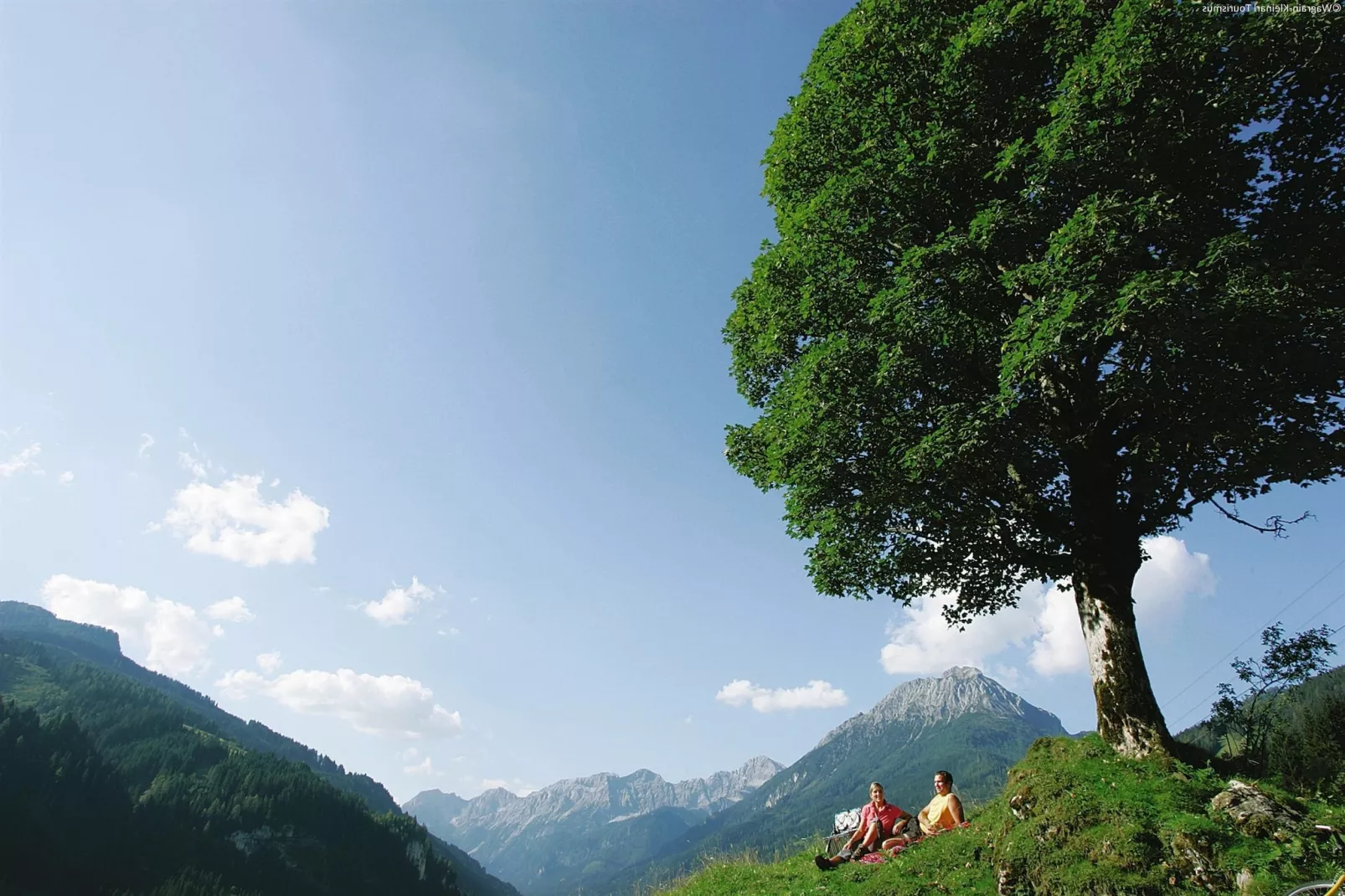 Brunnleiten 2-Areas summer 1km