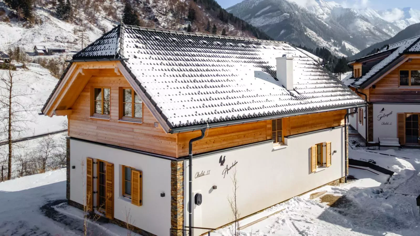 Auerhahn-Extérieur hiver