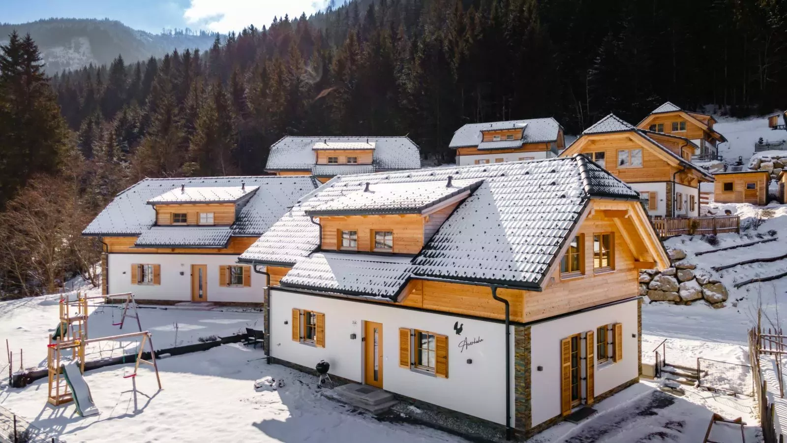 Auerhahn-Extérieur hiver