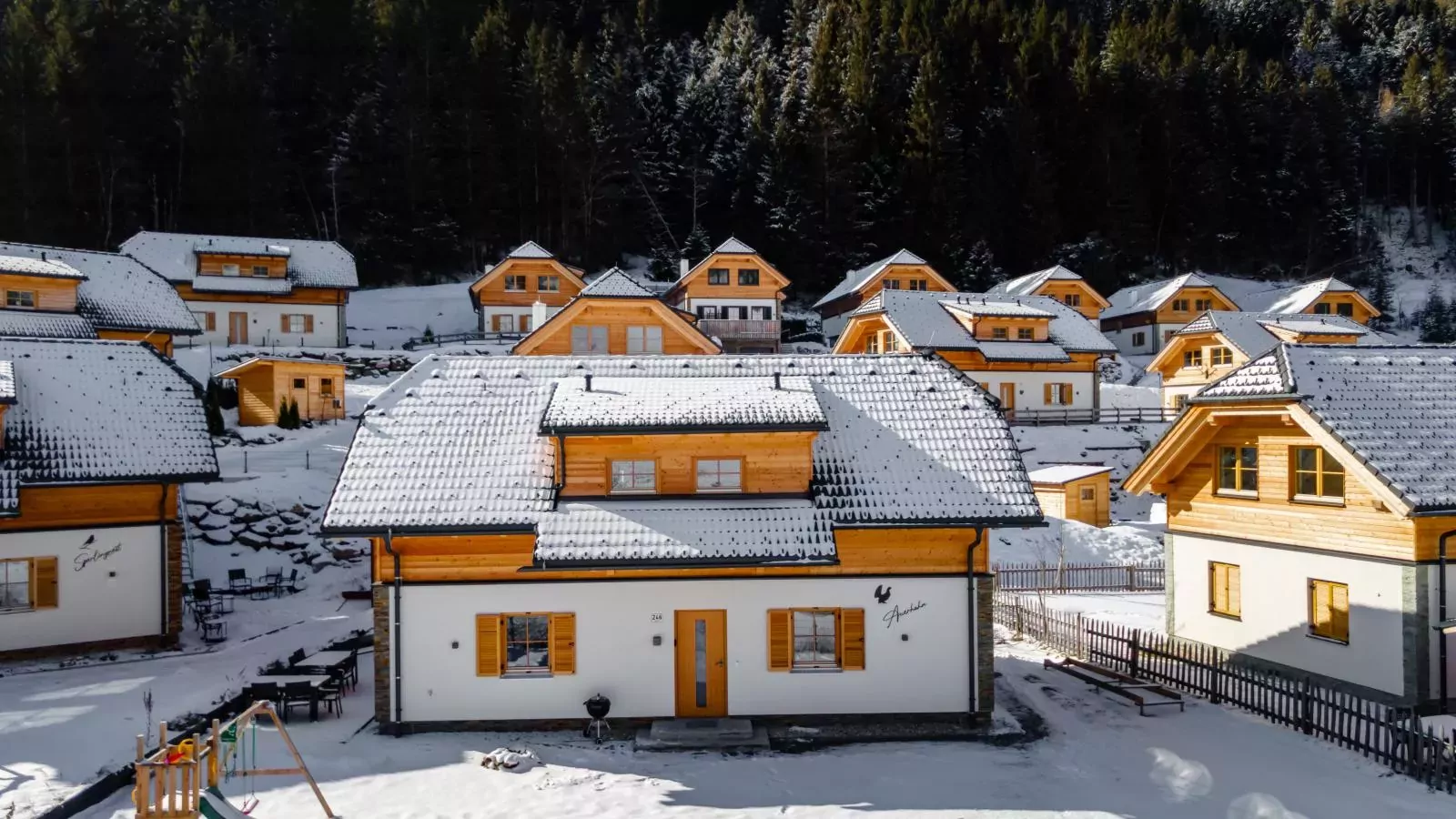 Auerhahn-Extérieur hiver