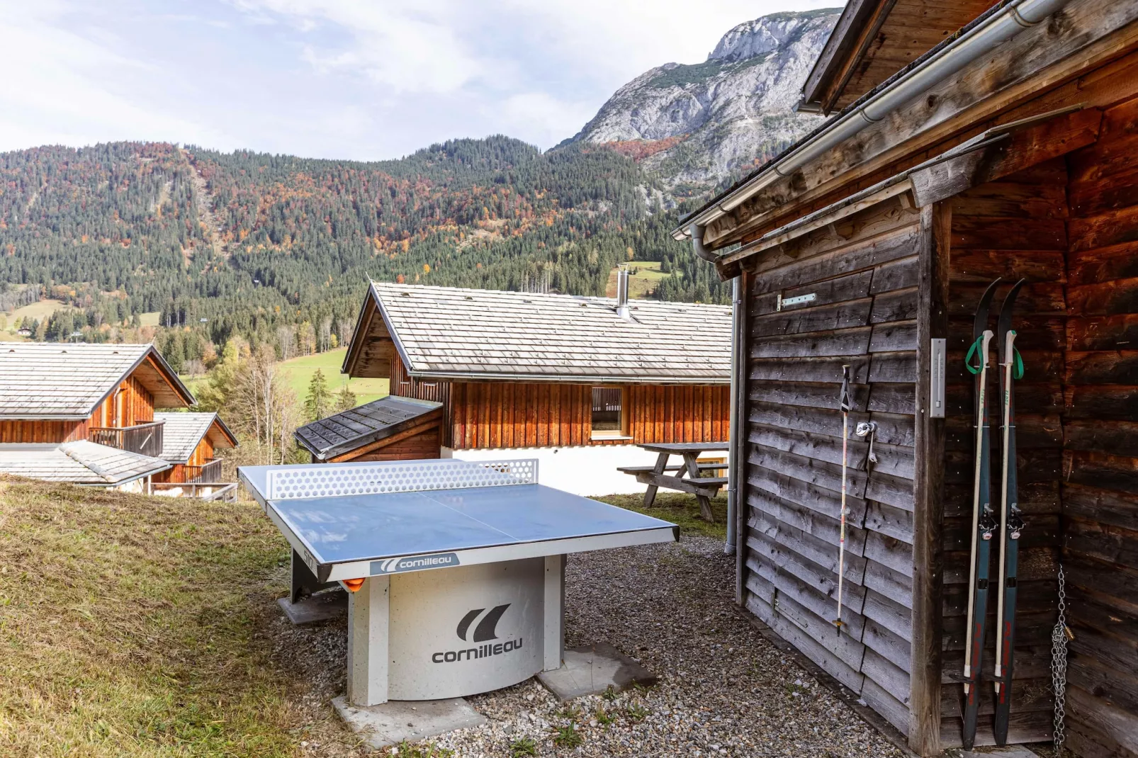Alpendorf Dachstein West 1-Gardens summer