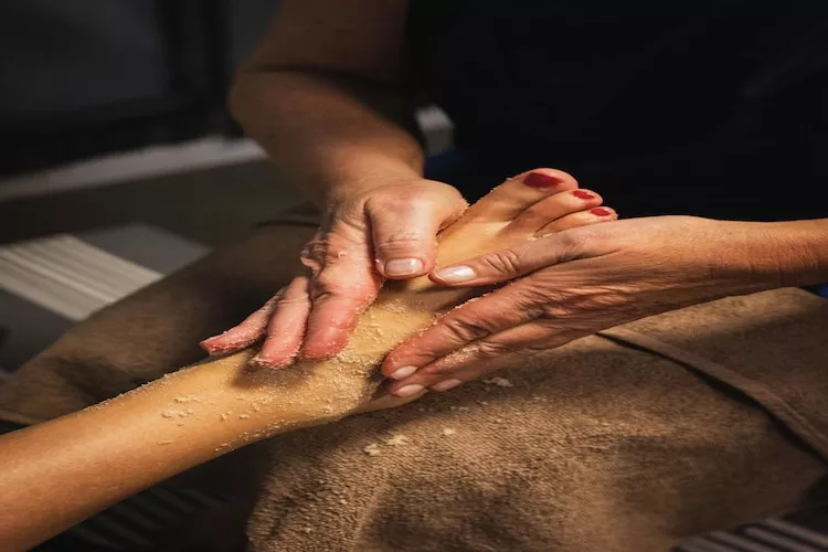 Scheldeveste 228 Zwin Breskens-Wellness