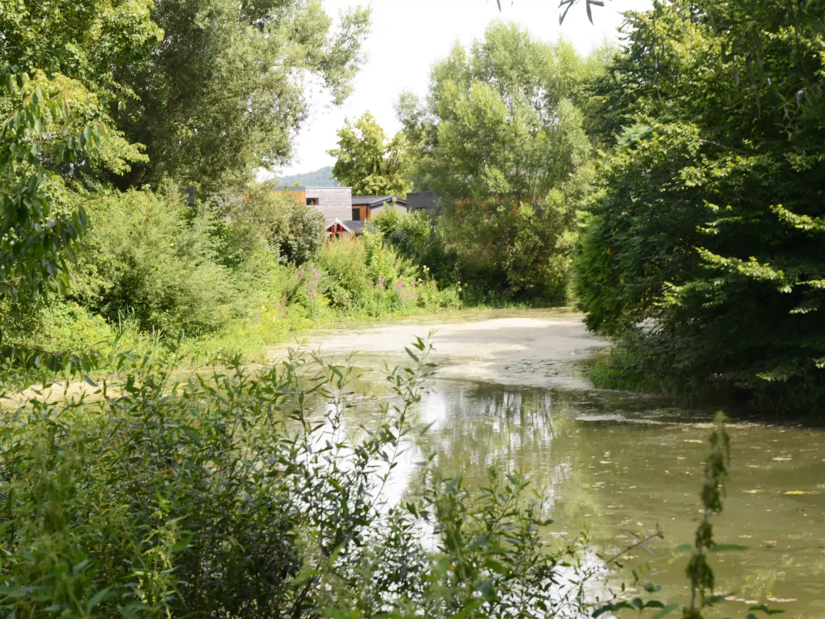Tiny Haus Anita-Draußen