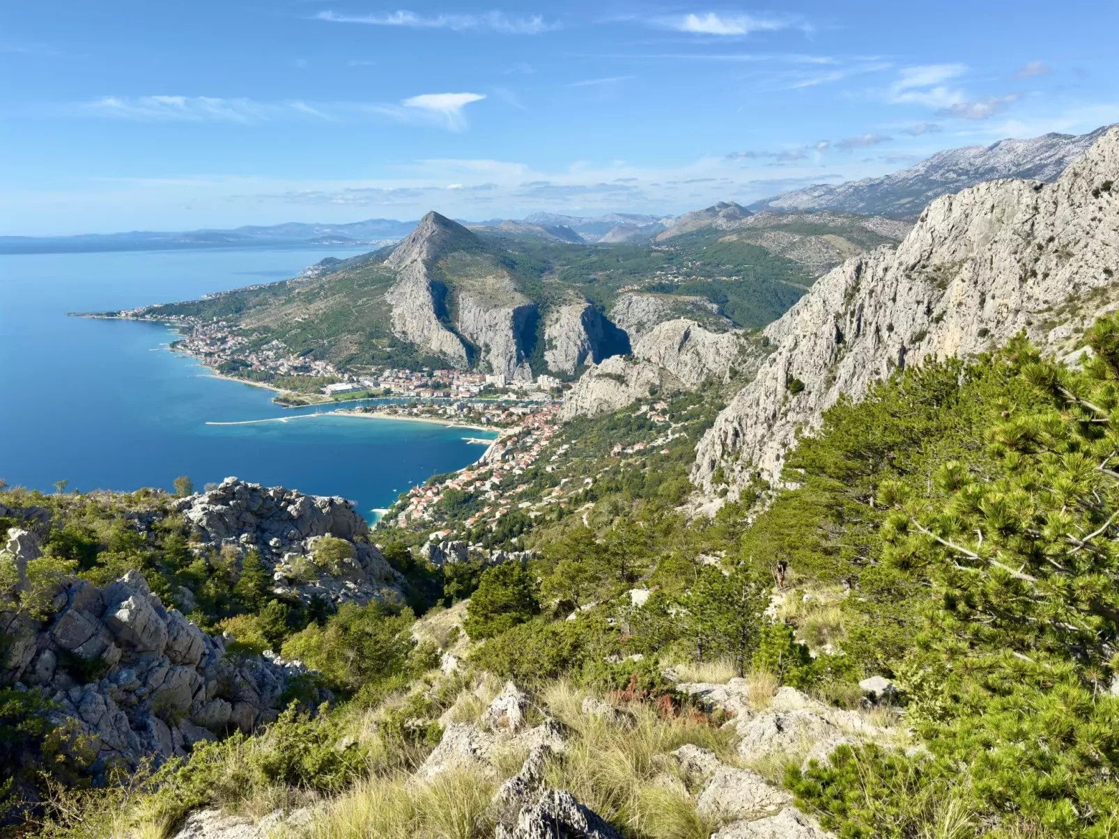 Sonja-Area