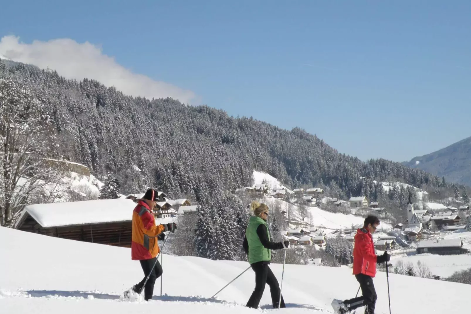 Chalets im Wald-Gebiet Winter 20 km
