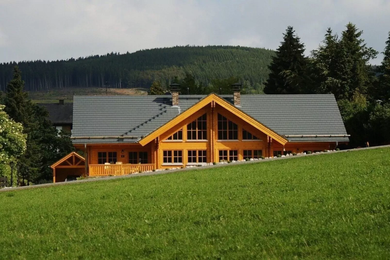 Luxus Blockhaus A-Exterior summer