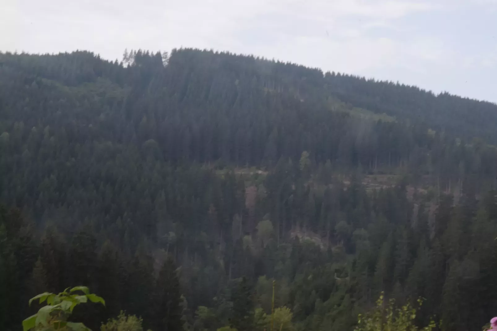 Ferienwohnung Sonne in Harz-Areas summer 20km