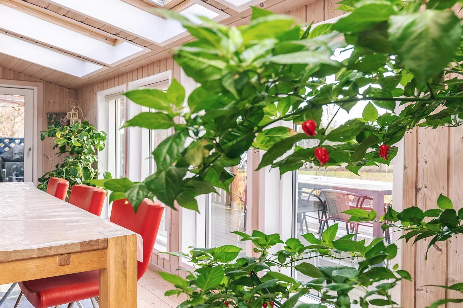 6 person holiday home in Hals-Indoor
