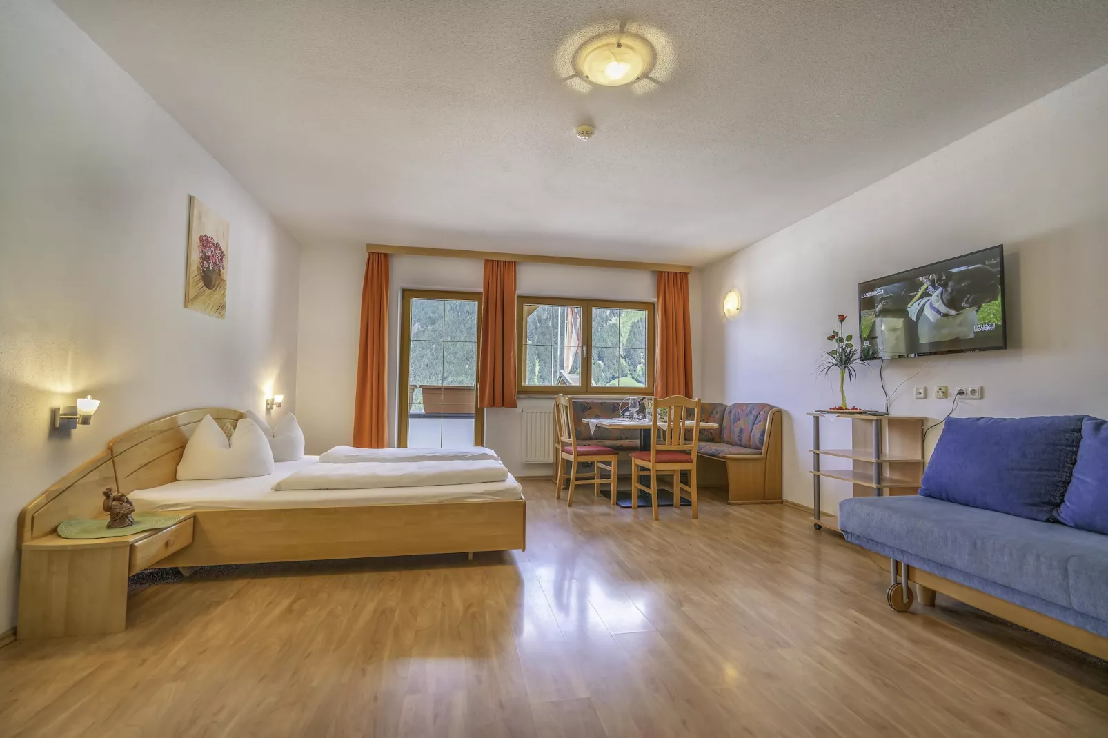 Apartment 1-Bedroom