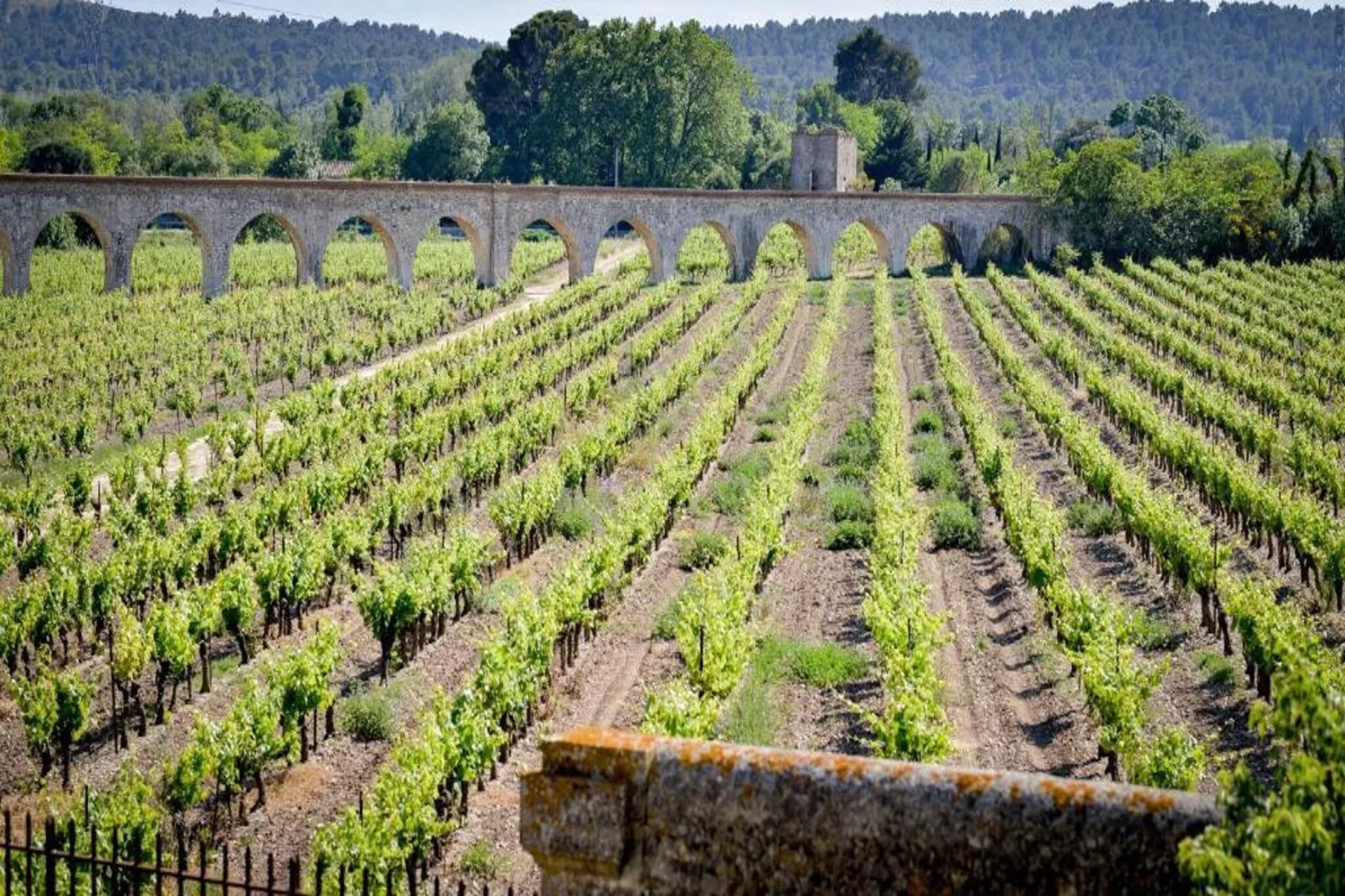 Résidence du Château de Jouarres - Azille // Apt Mezzanine 4 pers-Areas summer 1km