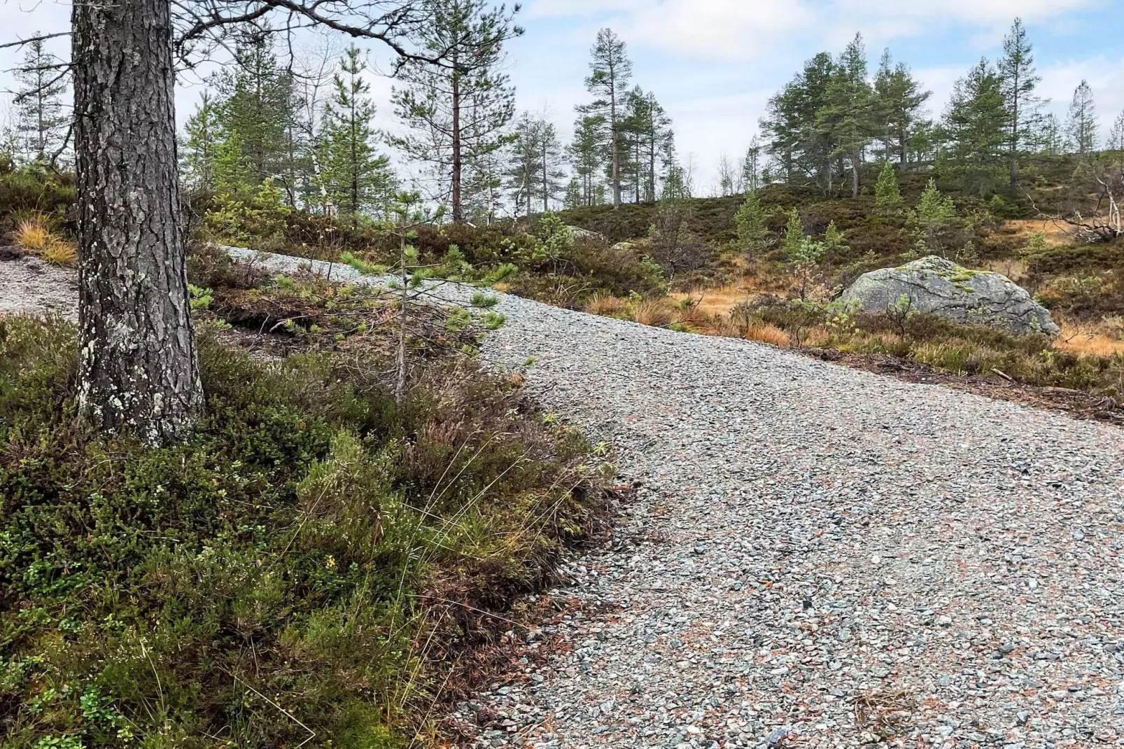 6 person holiday home in Tjørhom-Outdoor