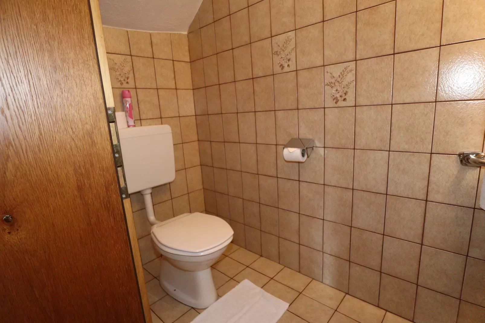 Haus Ferienglück-Salle de bain