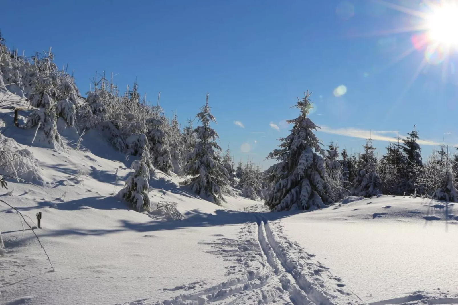 Appartement Lenneblick 2 - Altastenberg-Area winter 5km