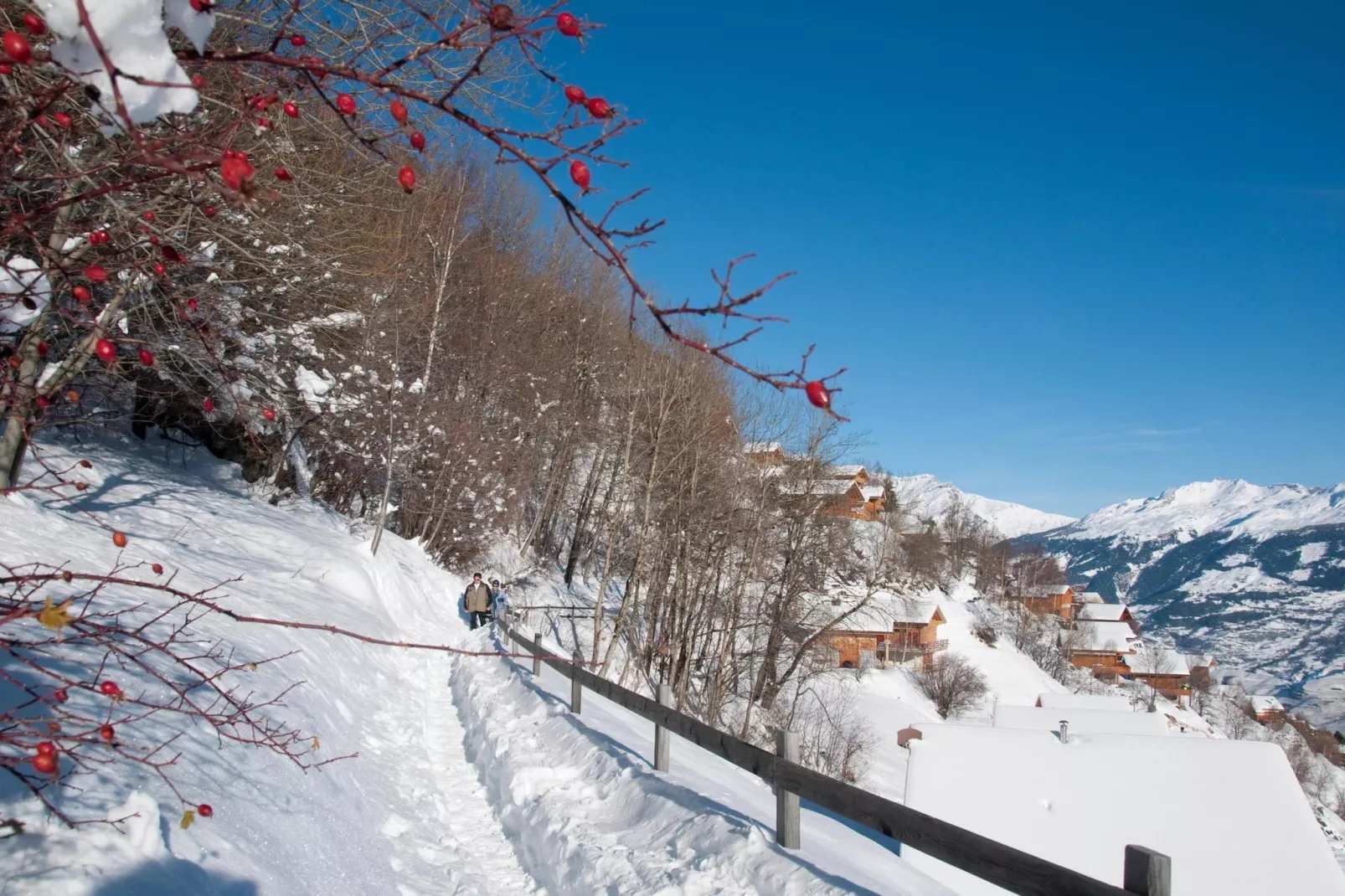 Plein Ciel VA 051 - MOUNTAIN apartment 8 pers-Area winter 20km