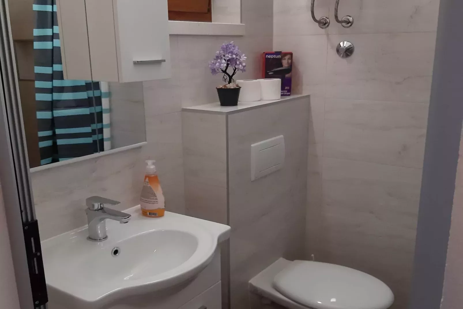 Apartments Franka Saplunara-Triple Room with Terrace and Sea View  No1-Bathroom