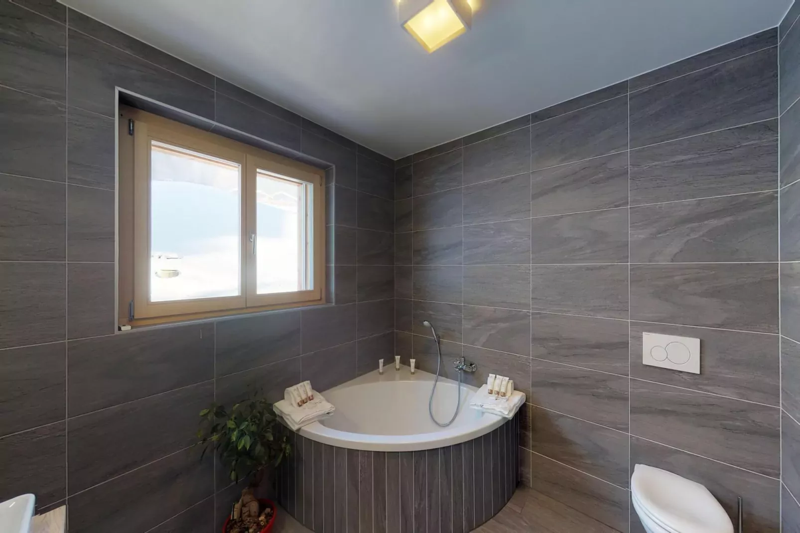 Les Mayens MB 022 - LUXURY apartment 14 pers-Salle de bain