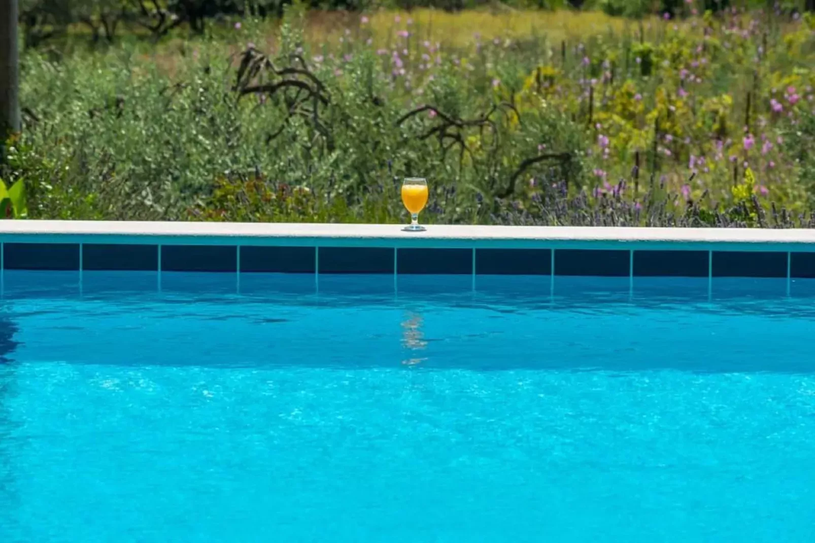 Apartments Villa Harmonia - One-Bedroom Apartment with Patio and Shared Pool-Pool