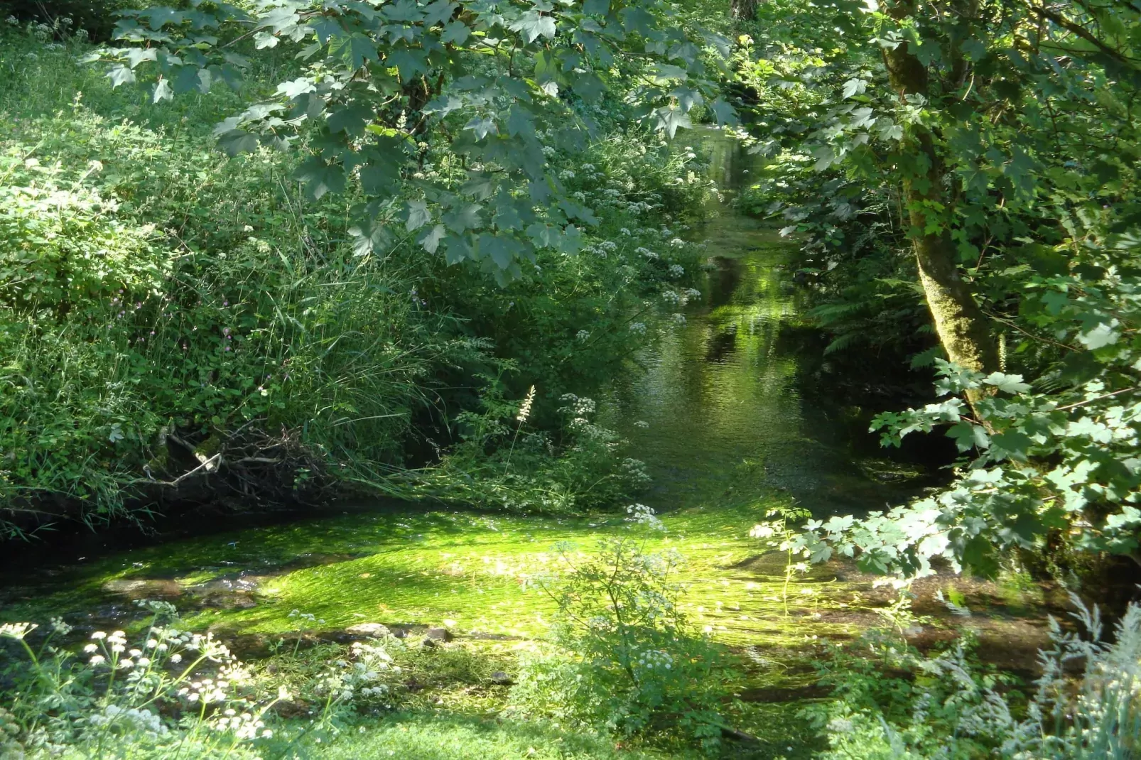 Lena-Gebiete Sommer 20 km