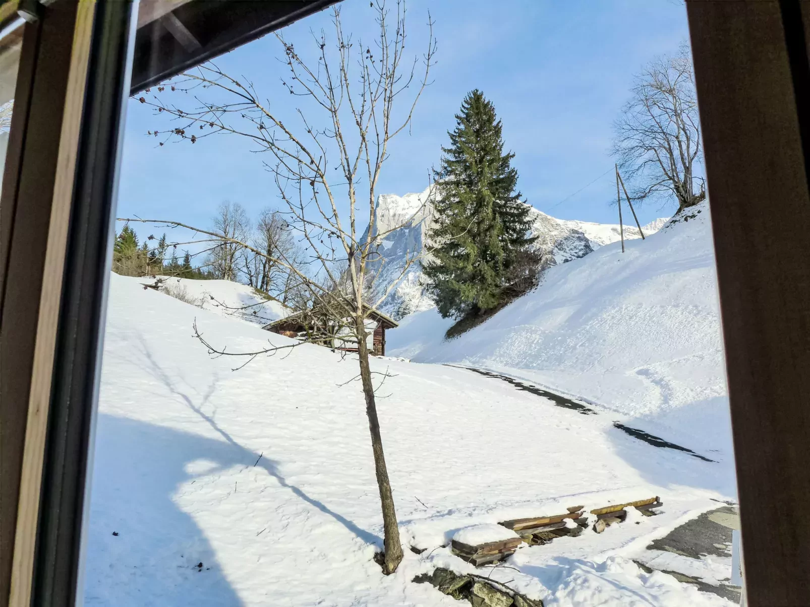 Chalet Bienli Mitte-Dehors