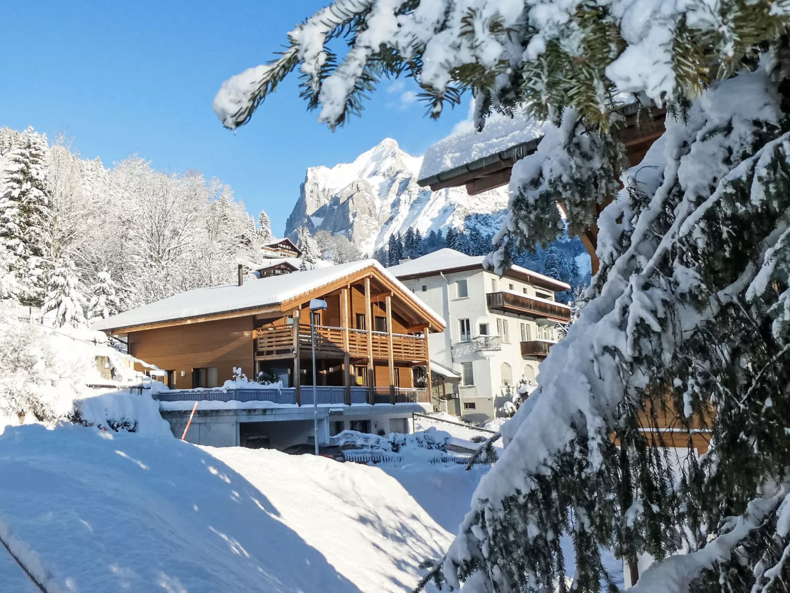 Chalet La Muntaniala-Outside