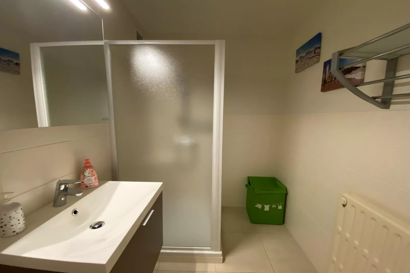 AIGUES MARINES 301-Bathroom