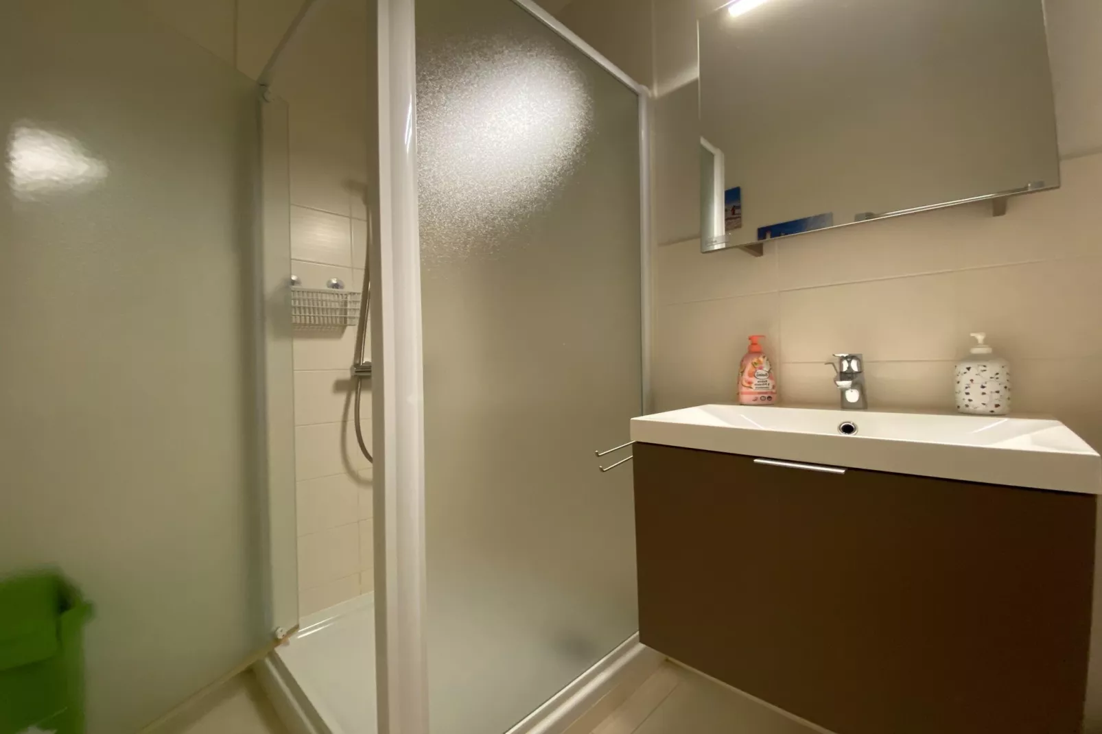 AIGUES MARINES 301-Bathroom