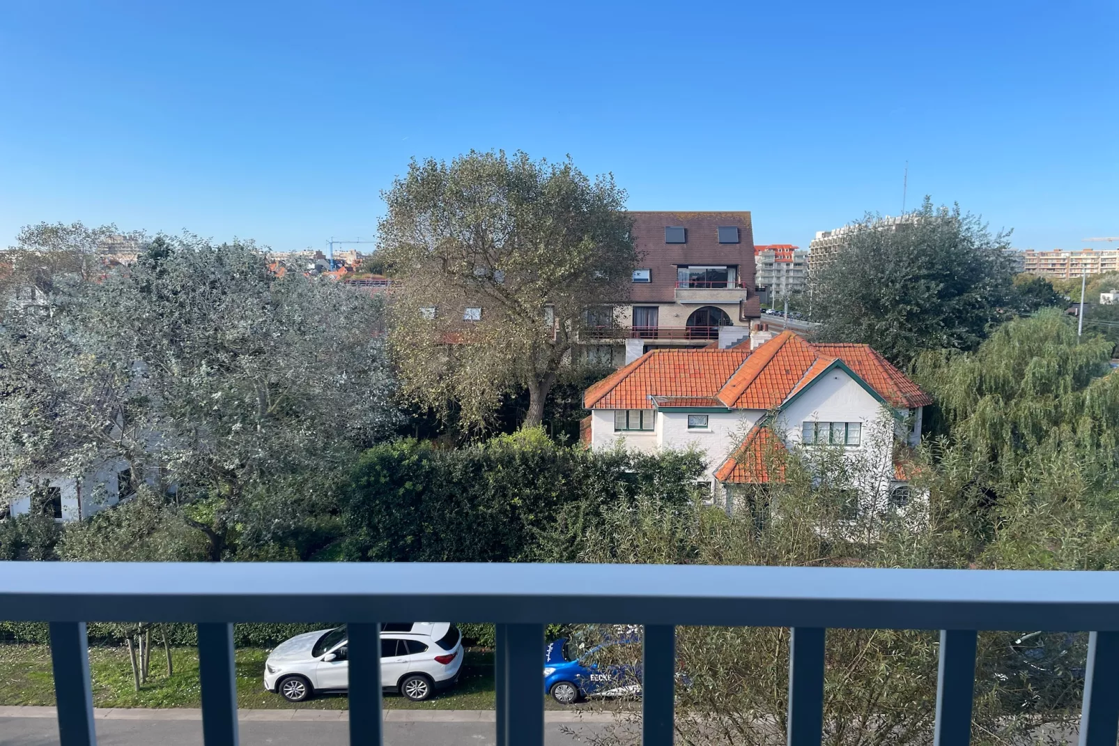 VLASBLOEM 0304GAR-View summer
