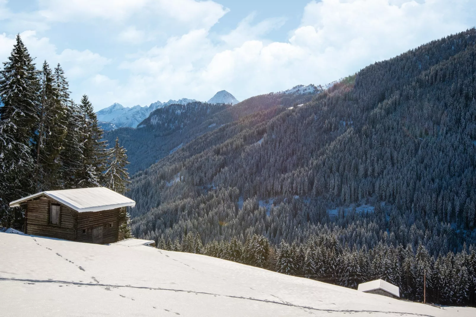 Almhütte Nase-Area winter 1km