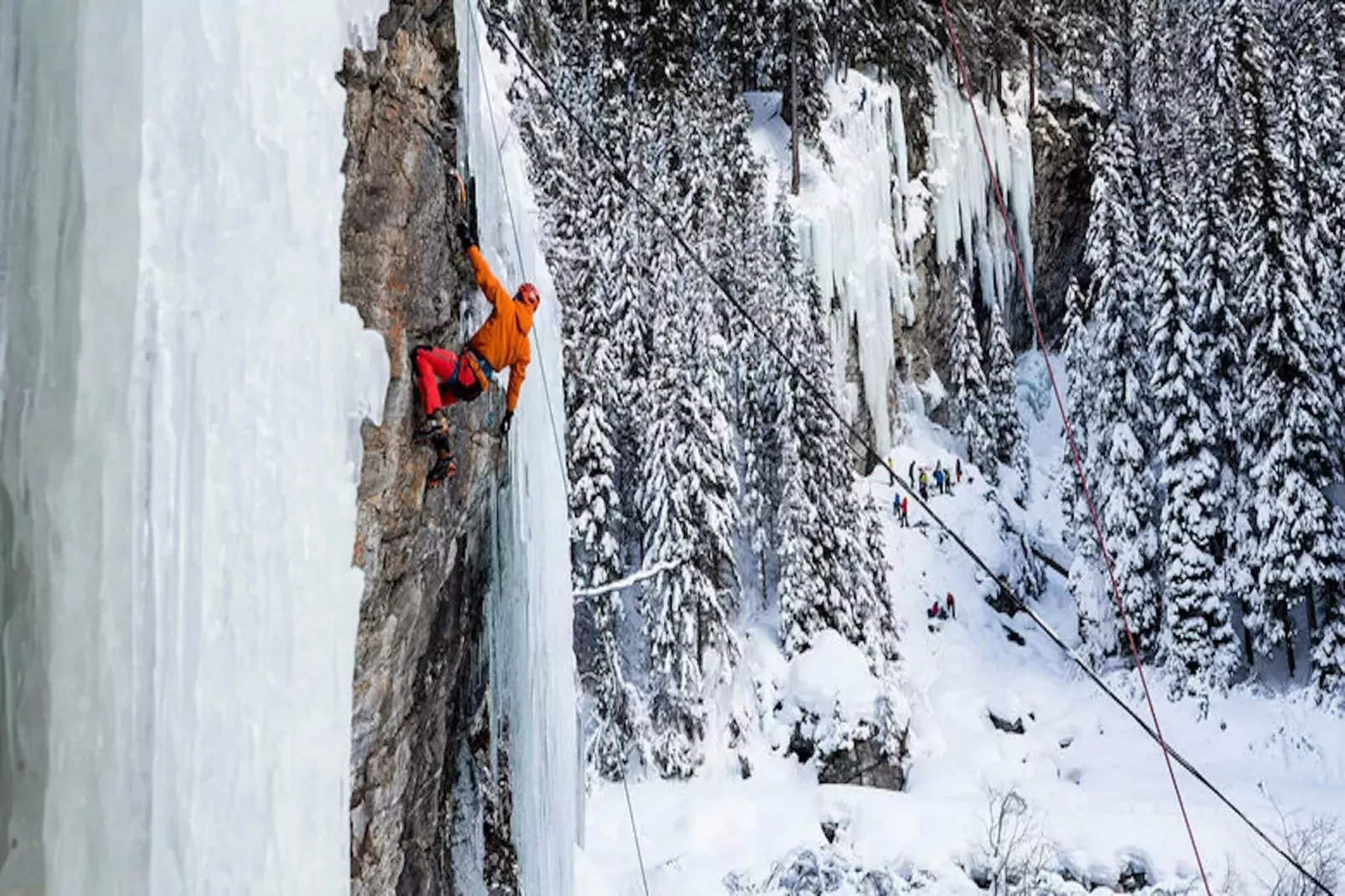 Apartment Alpine Classic-Area winter 5km