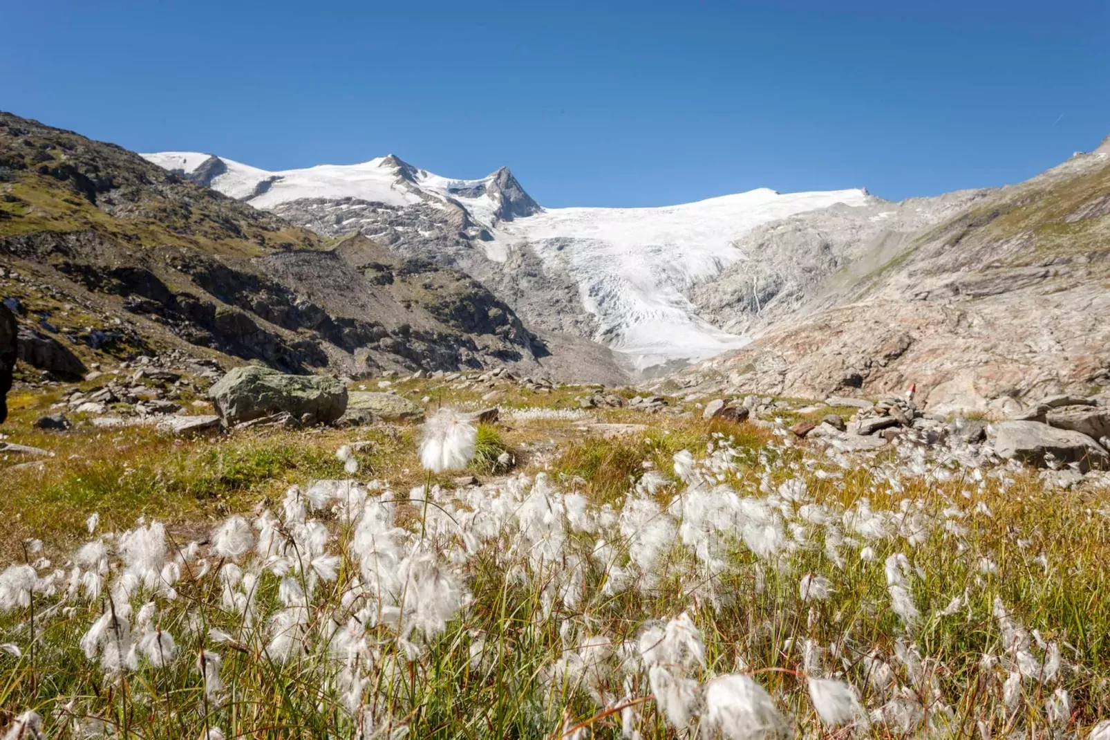 Apartment Alpine Superior-Areas summer 5km