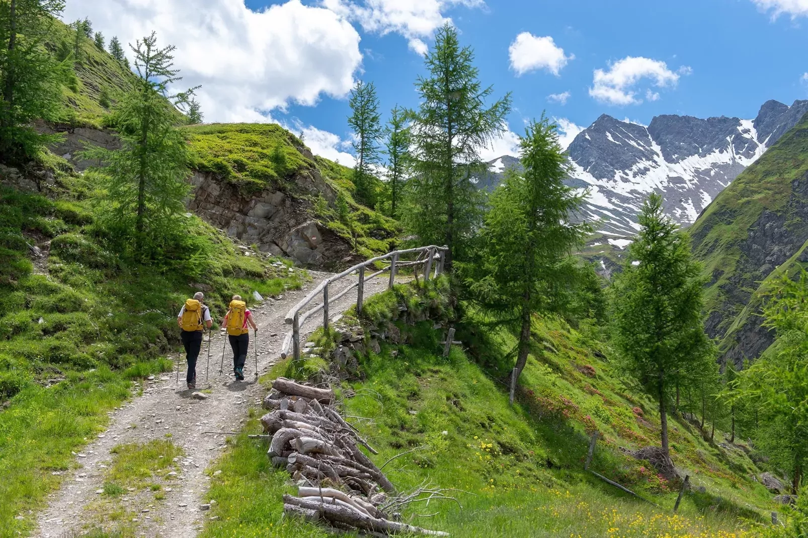 Apartment Alpine Superior-Areas summer 5km