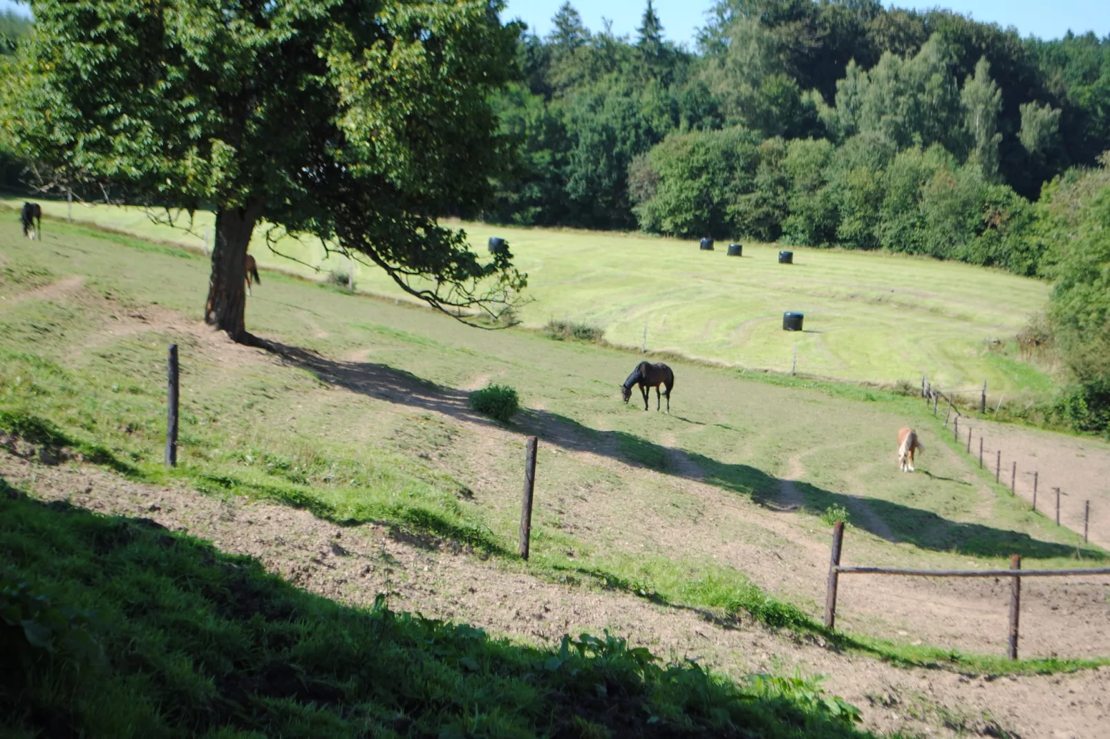 Haute Levée-Gardens summer