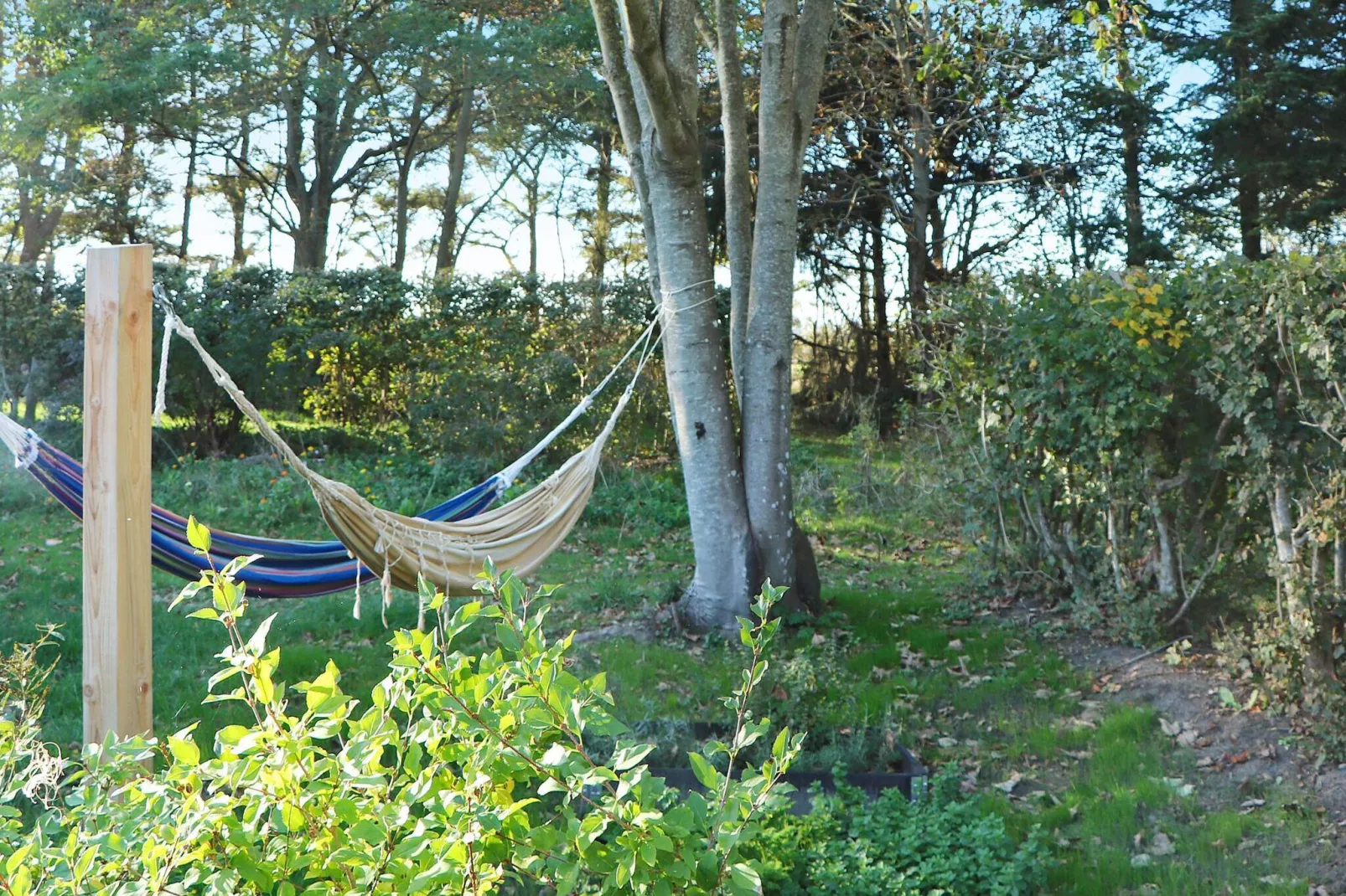 20 person holiday home in Ulfborg-Not tagged