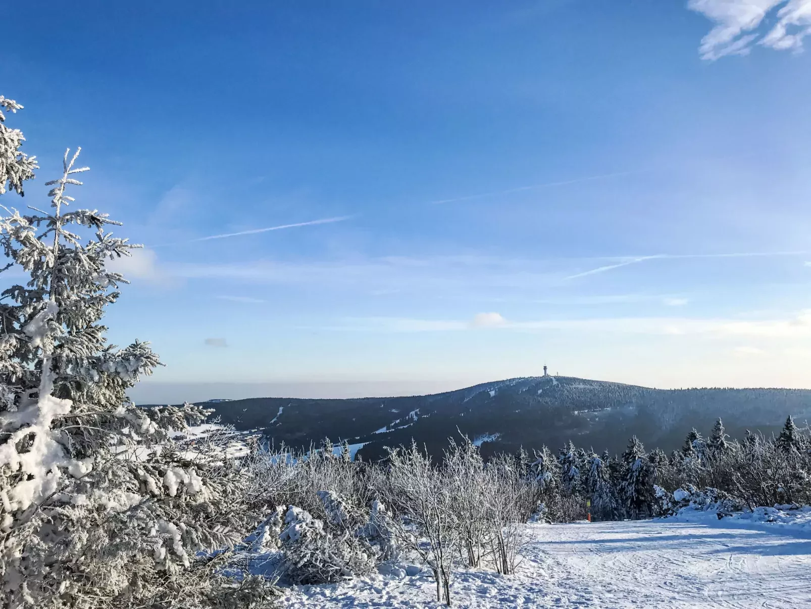Lanovka-Area
