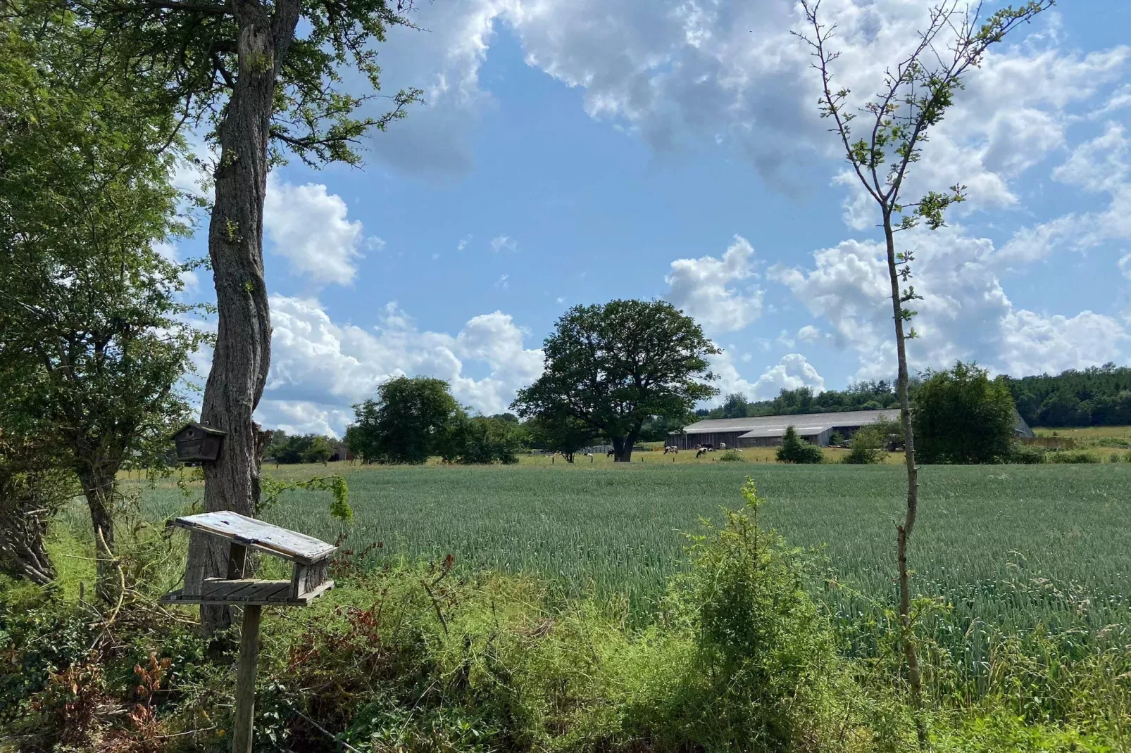 Très belle habitation à Lierneux pour 8 adultes-Vue d'été