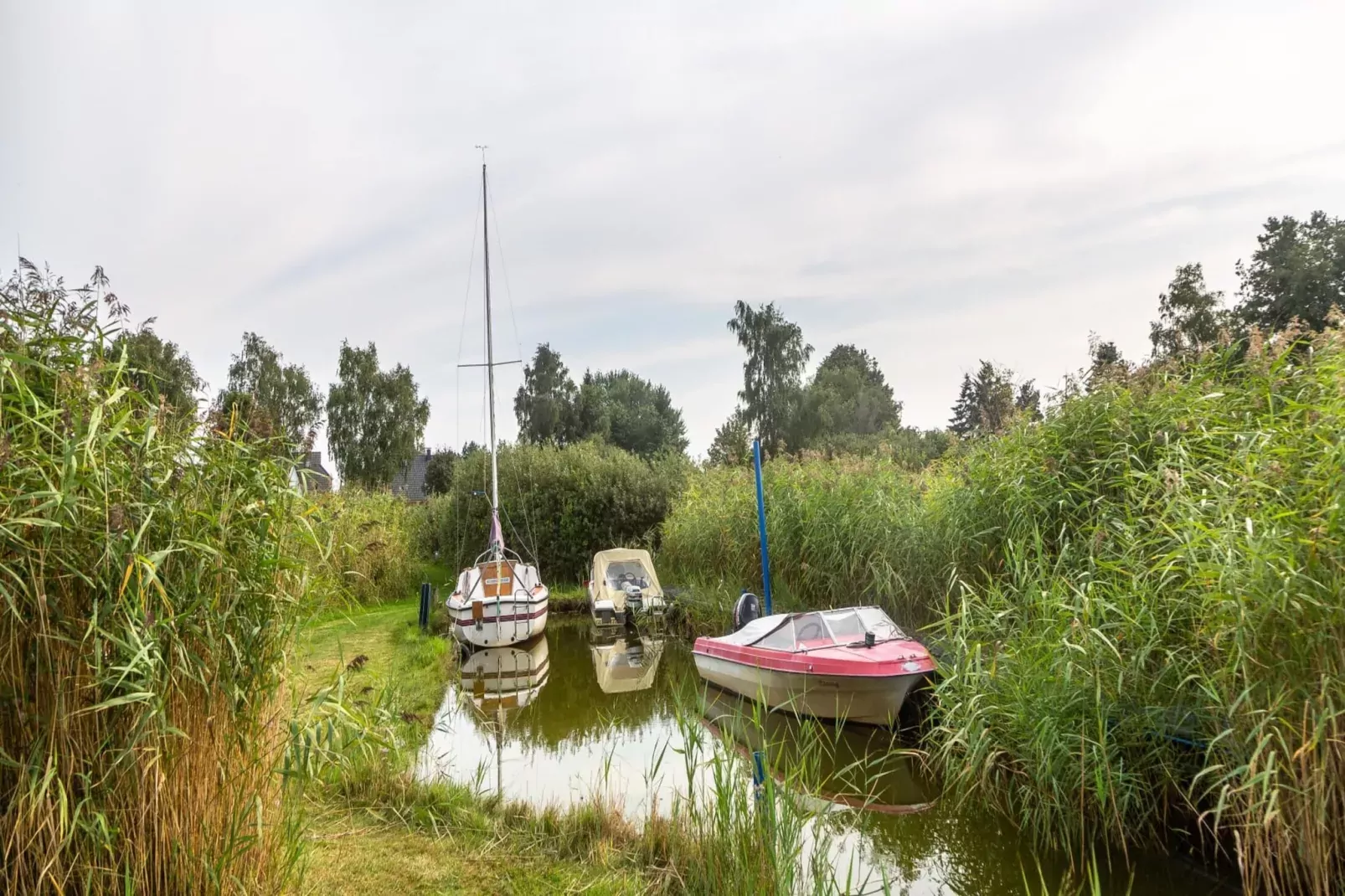 Seeadler 7-Gebiete Sommer 20 km