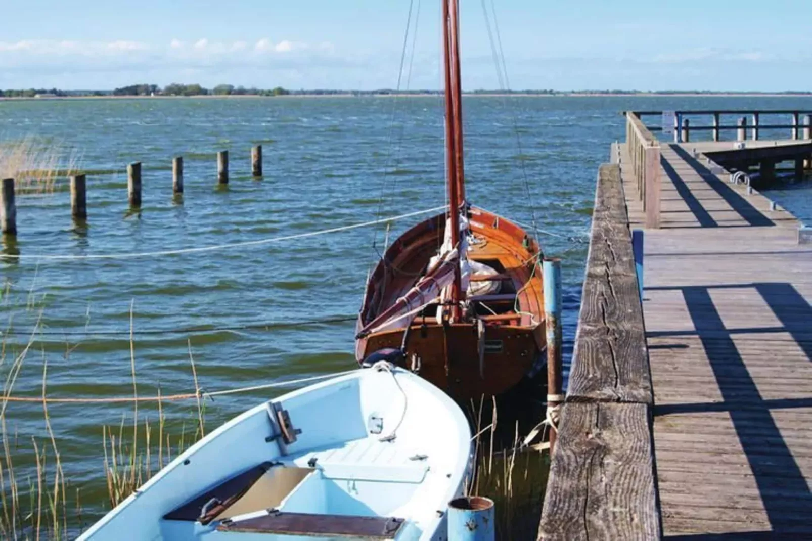 Seeadler 7-Gebiete Sommer 1 km