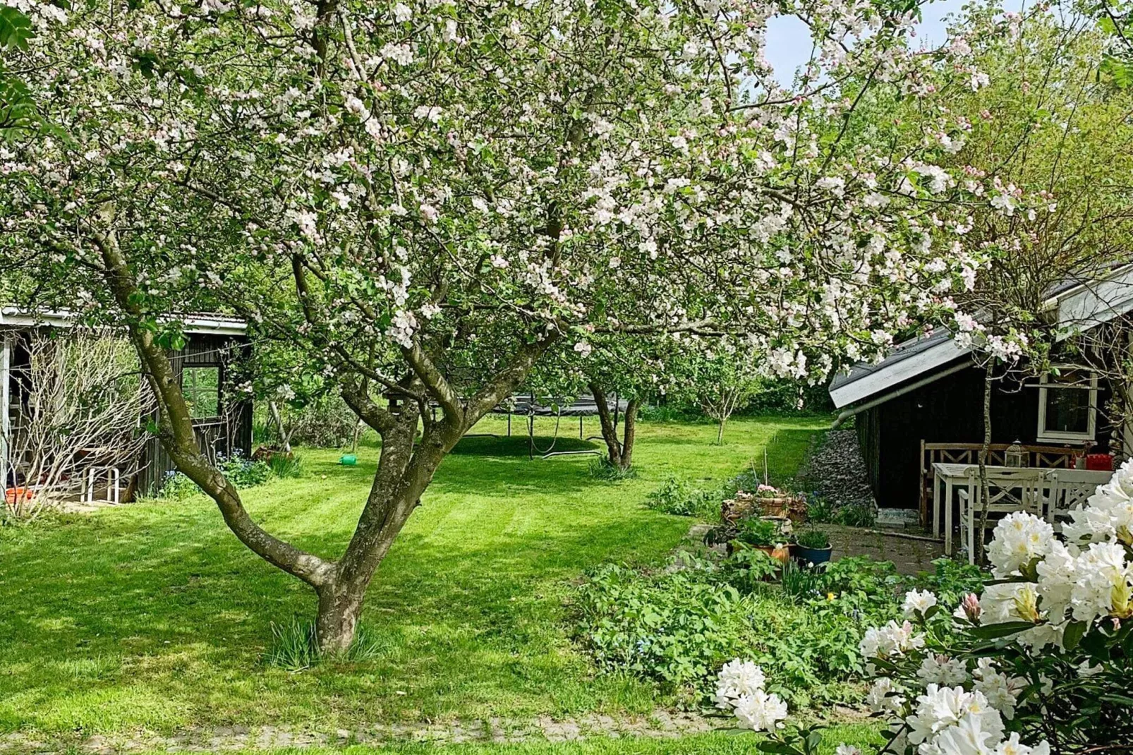 8 person holiday home in Kirke Hyllinge-By Traum-Outdoor