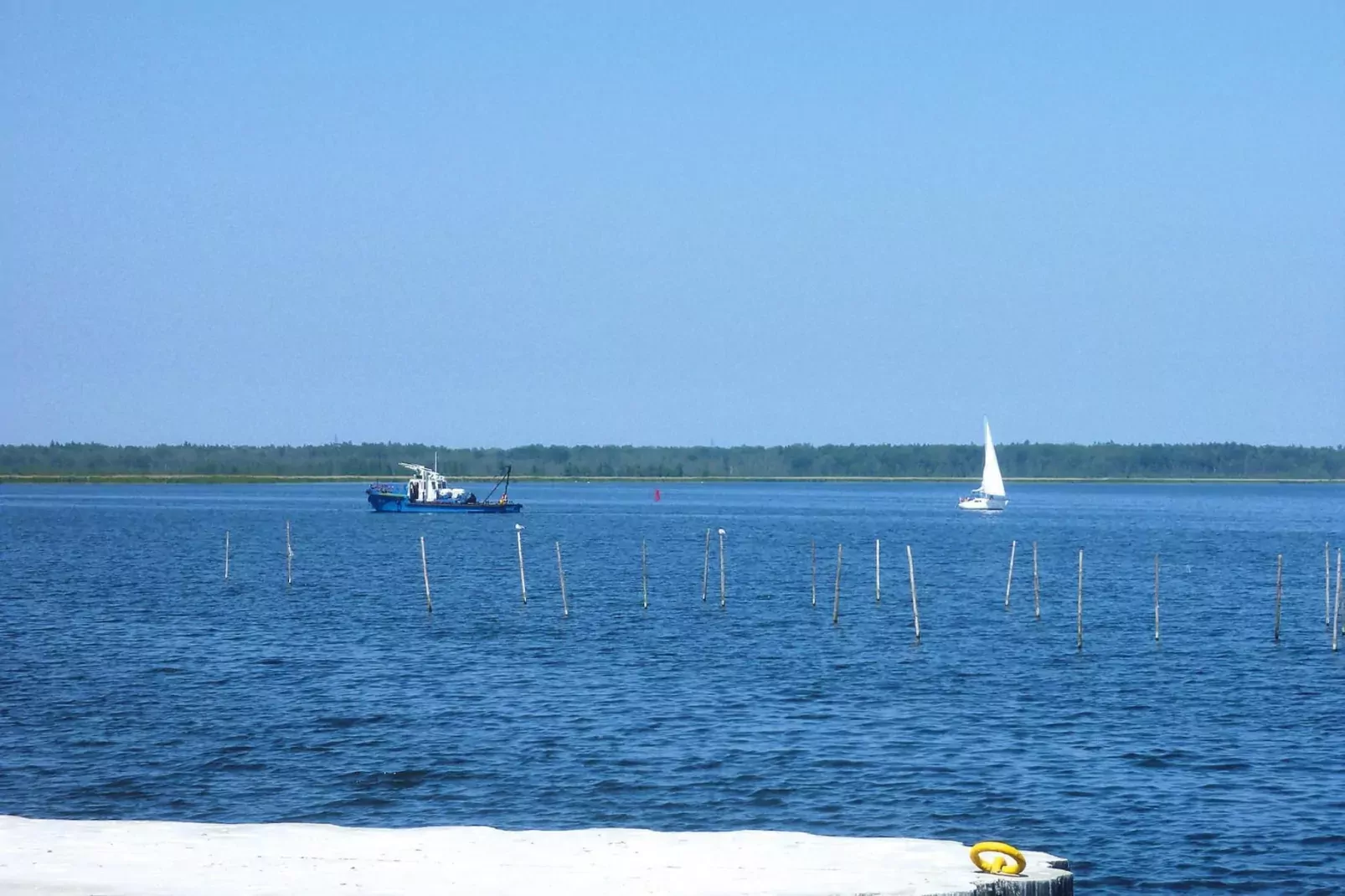 Holiday homes, Lubin-50 qm Typ A dom,-Areas summer 5km
