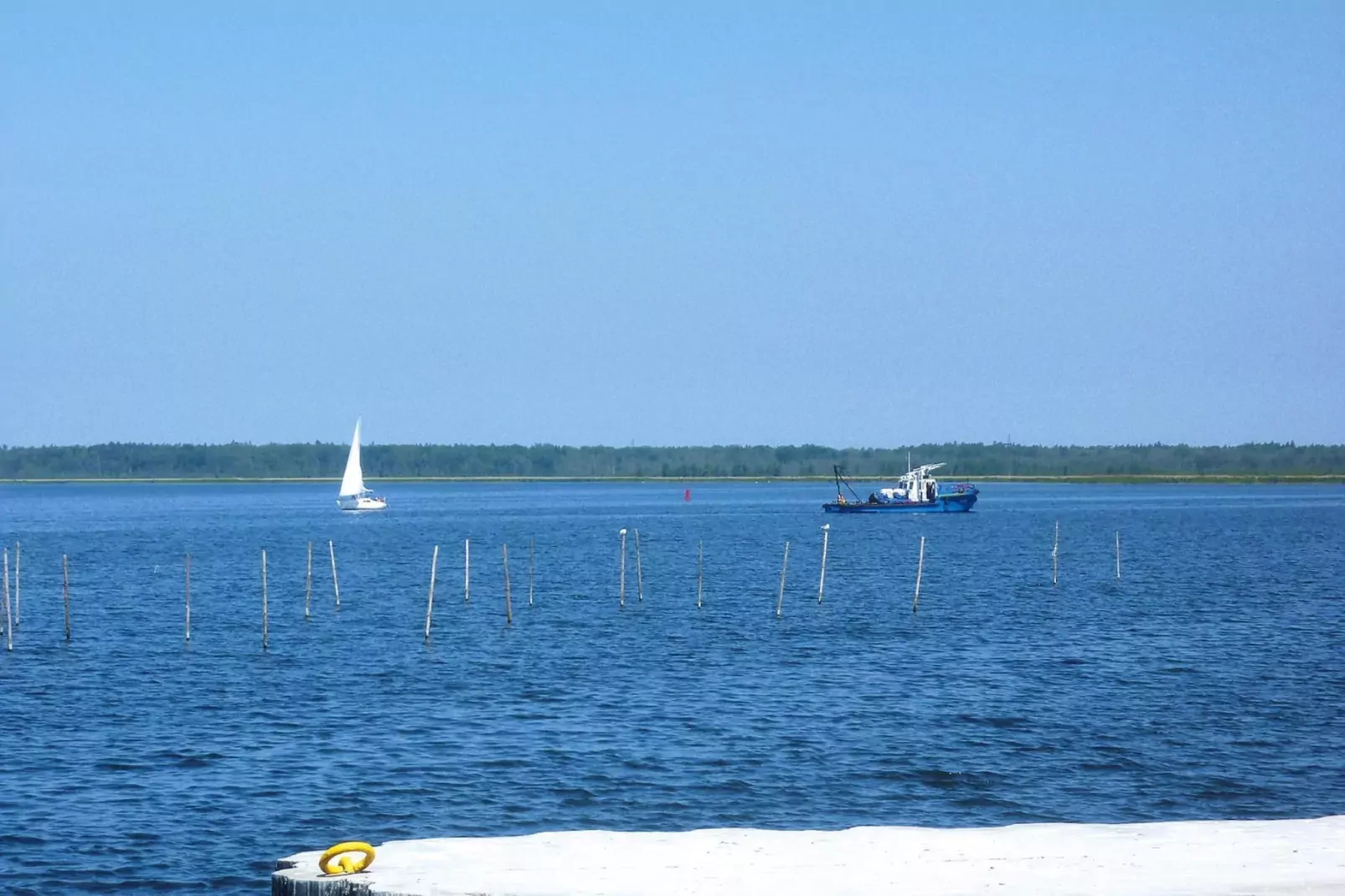 Holiday homes, Lubin-50 qm Typ A dom,-Areas summer 5km