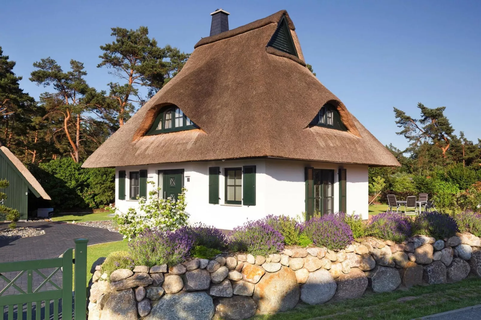 Seeadler 11-Exterior summer